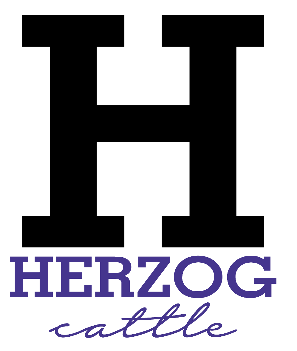 Herzog Cattle Logo